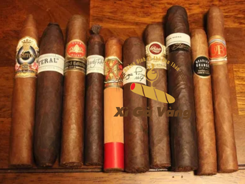 Xì Gà Vàng - địa chỉ tin cậy của người yêu thích xì gà hiện nay